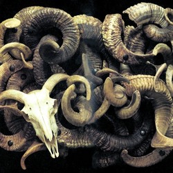 Umjetnost i smrt Dalibora Stošića u Modernoj&nbsp;galeriji