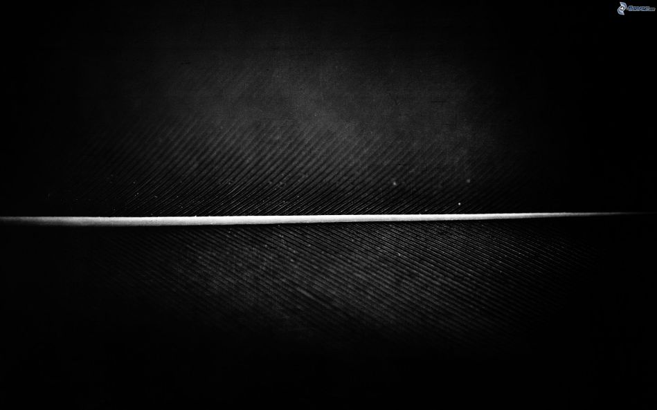 la-ligne-blanche-166198