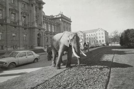 Ines Sabalić: Rađanje Europe iz straha, kaosa i&nbsp;mržnje