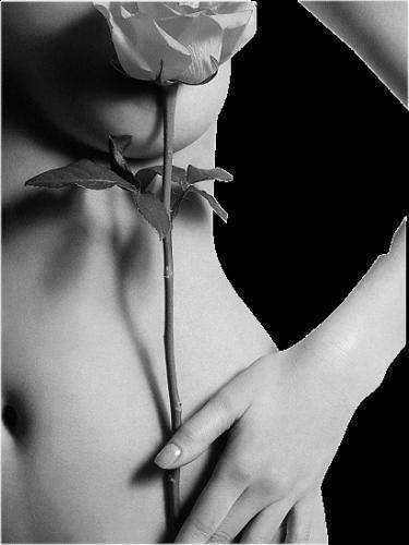 996706_1443976282489526_655078320_n