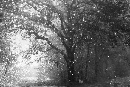 Enes Kišević: I ništa te kao ne&nbsp;boli