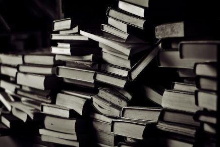 Na vašaru književnosti