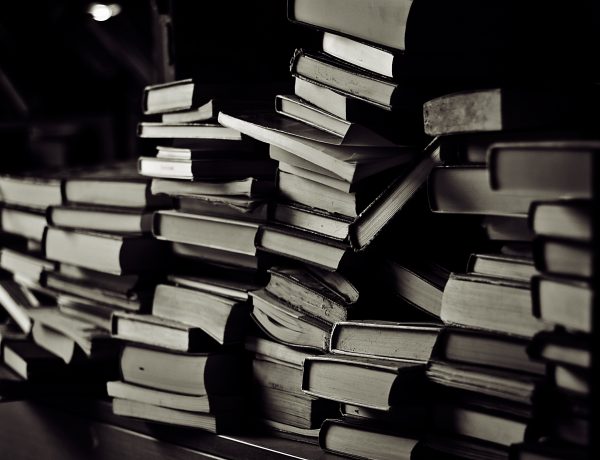 4820280046_f66c93e0a5_o-600x460