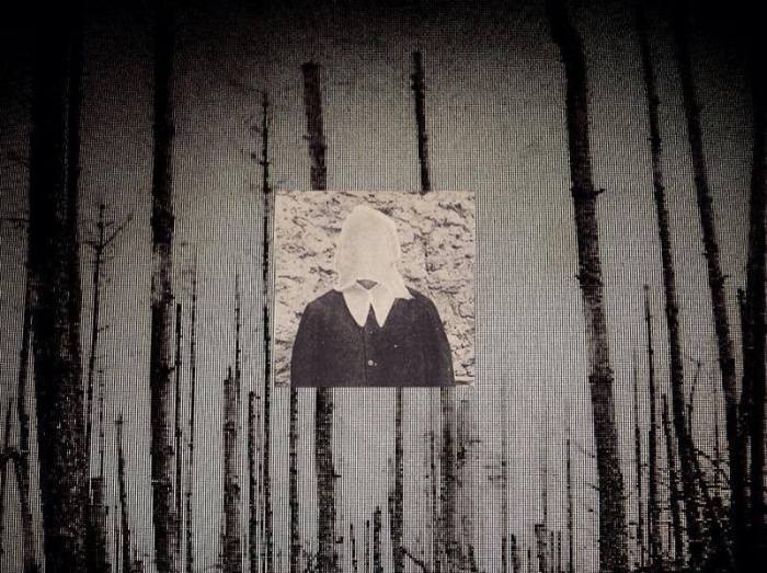 1538659_558195264263546_1133618517_n