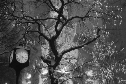 SIJEČANJSKA SLIČICA