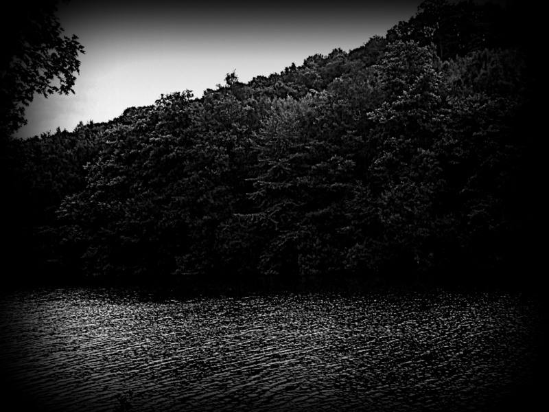 10087_576429402438224_1826833615_n