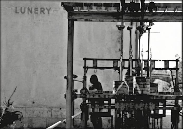 1441396_497458800361133_1675637122_n