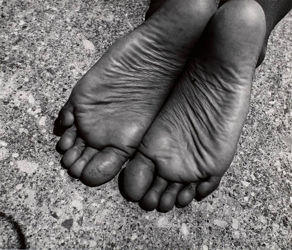 1461117_617885324938647_1341591117_n