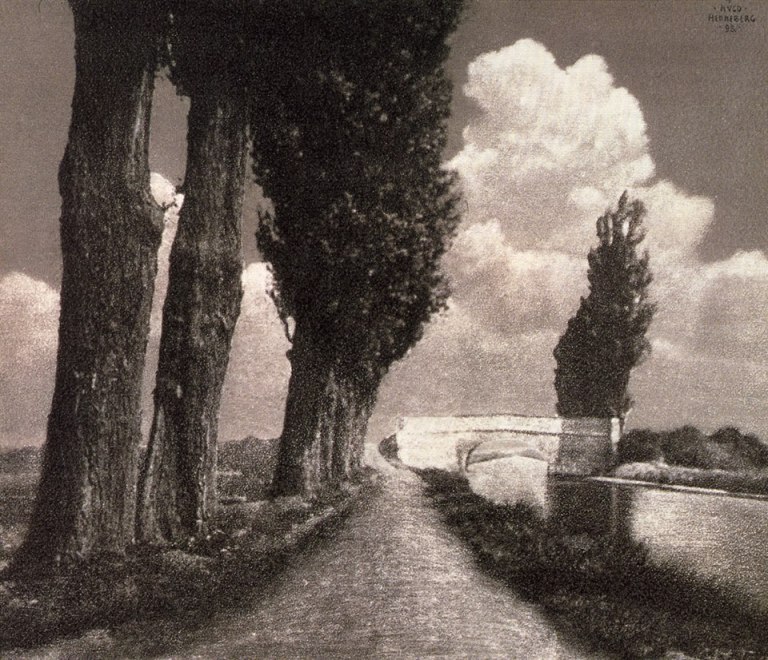 1468701_643360685715338_262215161_n