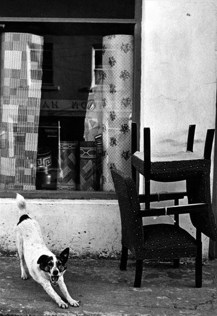 1470169_756402797706955_213359083_n