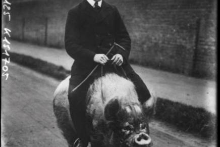 Izgubljeni futur i prošlo ponovljeno vrijeme – Gramatički prilozi Jutarnjeg  lista narodnom&nbsp;jeziku