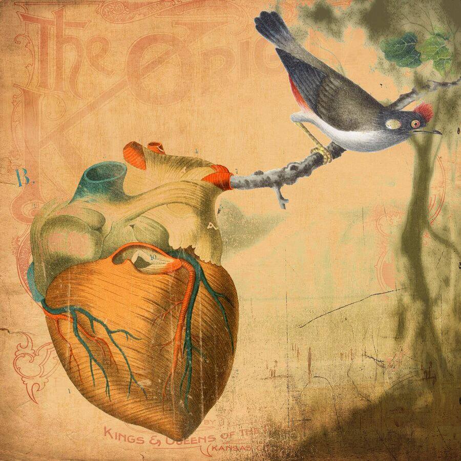 1506036_565587583524314_453526566_n