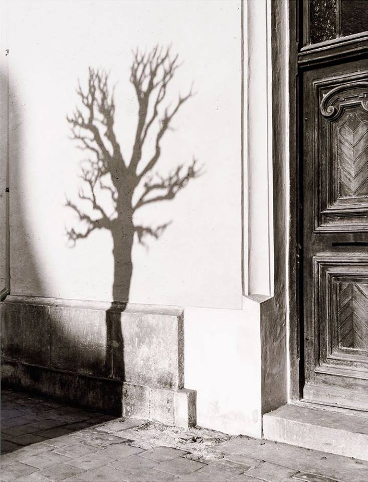 1557628_790388450975056_296032007_n