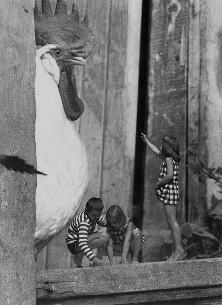 156239_3999792563735_1548671658_3179631_1006647288_n