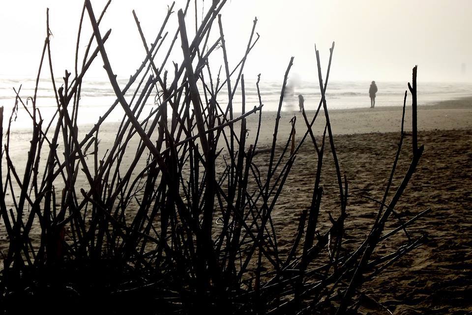 1888671_568752336553840_671847886_n