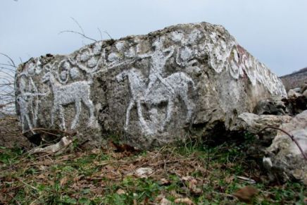 Božica Jelušić: SRNE U&nbsp;POLJU