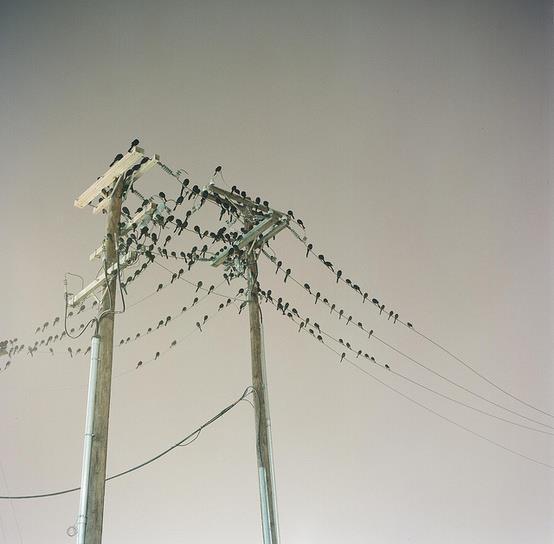 31619_553623691332539_2061022459_n