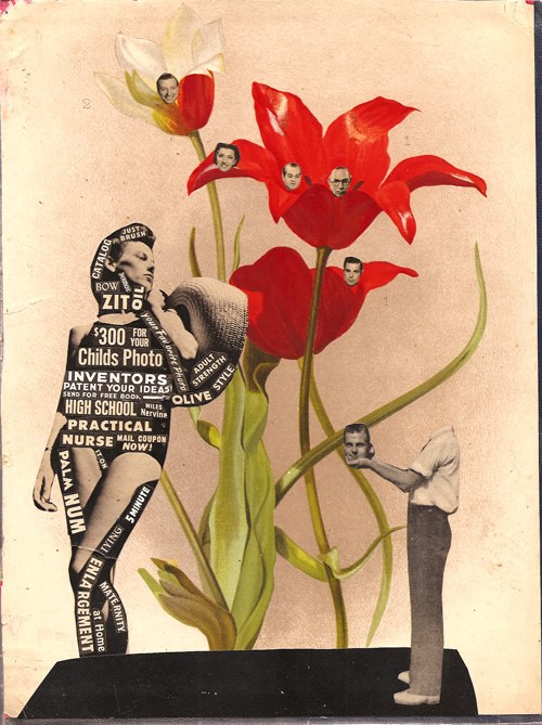 960242_615411338506298_1210887444_n