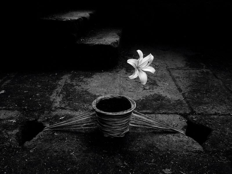 994624_511239588959114_1997283159_n