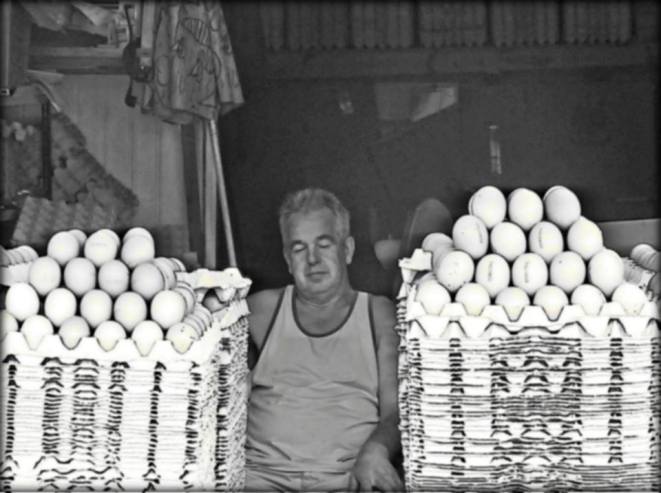 1375269_480216782085335_1720796321_n