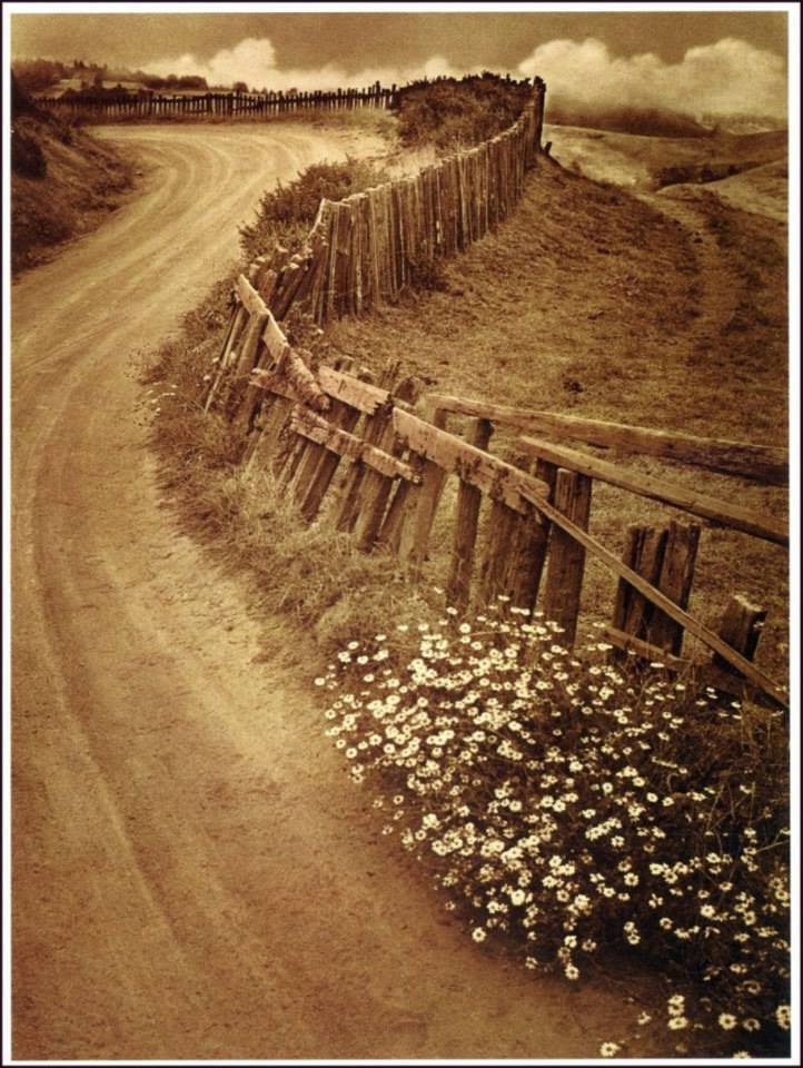 1452522_418322658300461_142108000_n