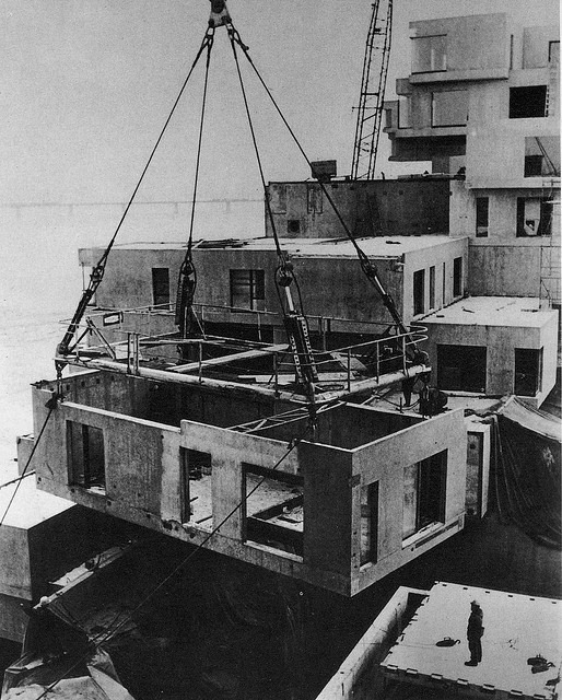 1466034_712835975393513_549906066_n