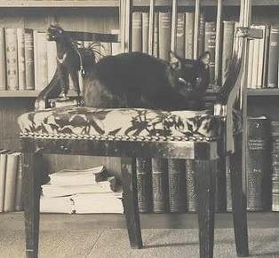 Merita Arslani: Ja vjerujem u&nbsp;svašta