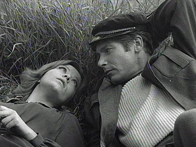 1654419_675095832533207_1276321980_n