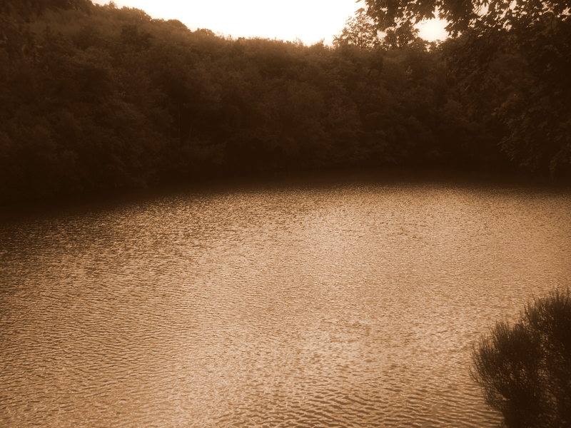 1656271_569170069830824_392259635_n