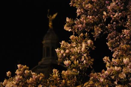 Božica Jelušić: LJEPOTA&nbsp;PRVOGLEDA