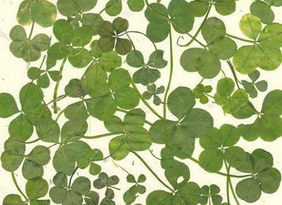 O SREĆI, POVODOM DANA&nbsp;SREĆE