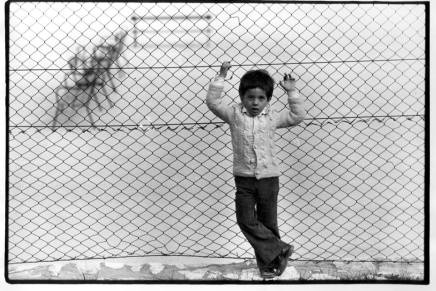 Pravna država i državni&nbsp;zločini