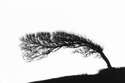 Marijan Grakalić: Vjetrovi&nbsp;istoka