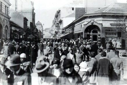 Nikola Živanović: VELIKA&nbsp;ALBA
