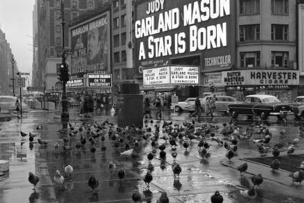 Mate Kapović: Europska Unija kao neoliberalna&nbsp;tvorevina