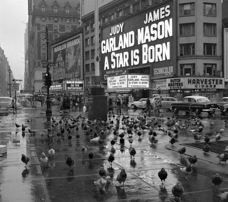 Times Square with Pigeons by Frank Oscar Larson copy.ss_full