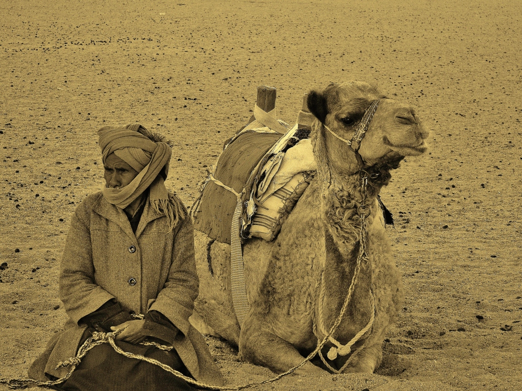 1. a. bedouin-and-camel1