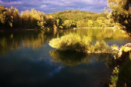 ZMED MURE I&nbsp;DRAVE