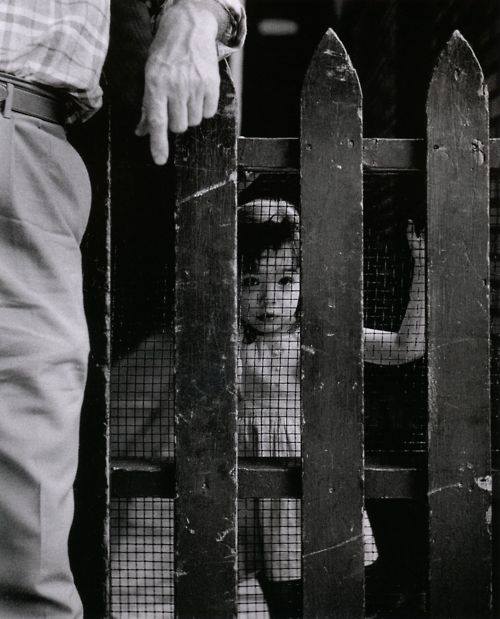 1463119_619578694769310_261168915_n