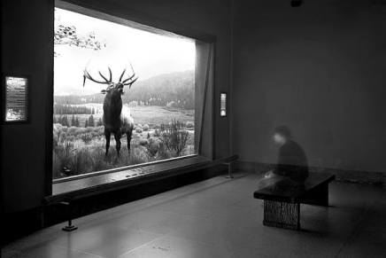 Stevo Basara: Glas sretne&nbsp;usamljenosti