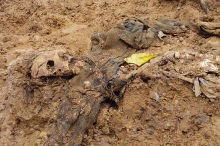 Tomašica, zločini i&nbsp;zet