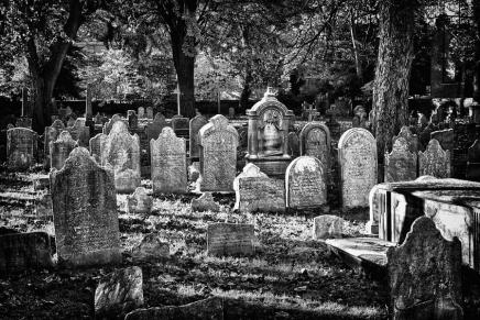 Stevo Basara: Sasvim običan, svakodnevni&nbsp;kraj