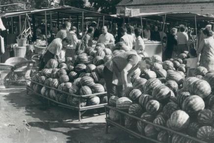 Snježana Kordić: Neprijatelj