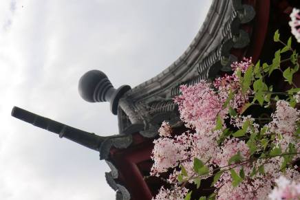 Božica Jelušić: VRTOVI&nbsp;LIJEPI….