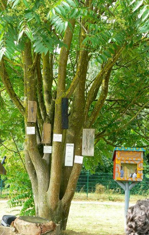 little-free-library-roma