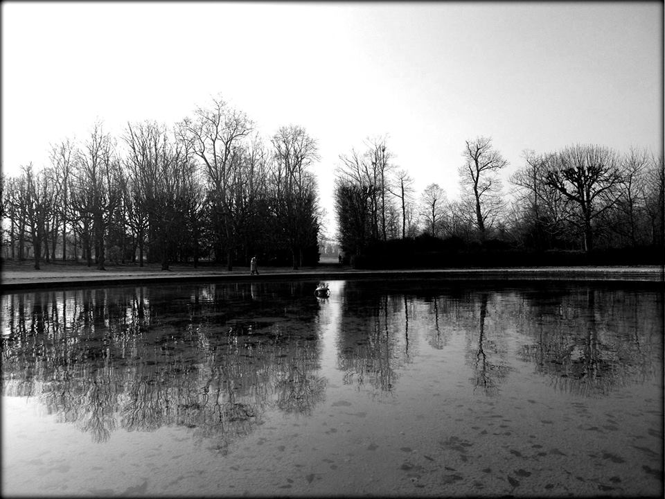 1239878_468203739953306_1914410293_n