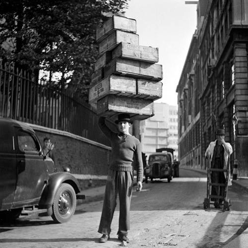 1743488_654357661291413_1896519006_n