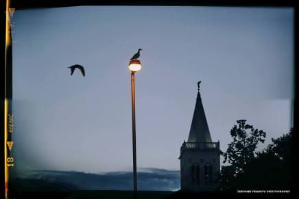 Božica Jelušić: GRANICE&nbsp;DOBROTE