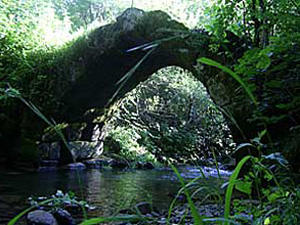 Ivo Andrić: Čudo u&nbsp;Olovu