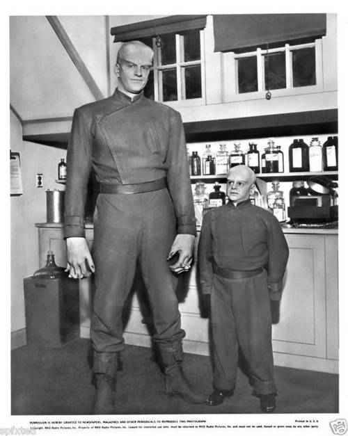 1463474_687375667968971_322209454_n